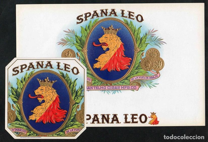 Vitolas de colecci&oacute;n: Vitolas, original litograf&iacute;as. Antiguas litograf&iacute;as de caja de tabacos. Spana Leo.