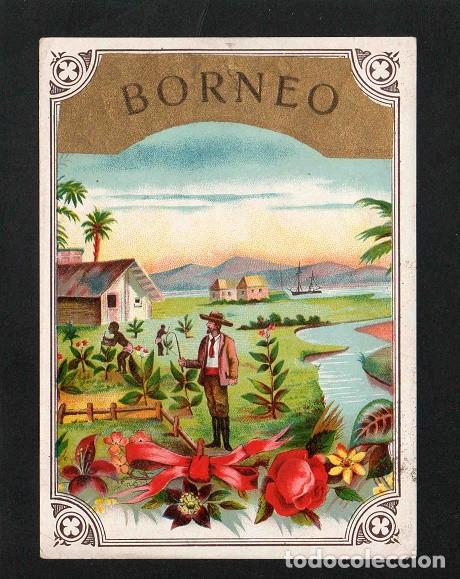 Vitolas de colecci&oacute;n: Vitola, original litograf&iacute;a. Antigua litograf&iacute;a de caja de tabacos. Borneo.