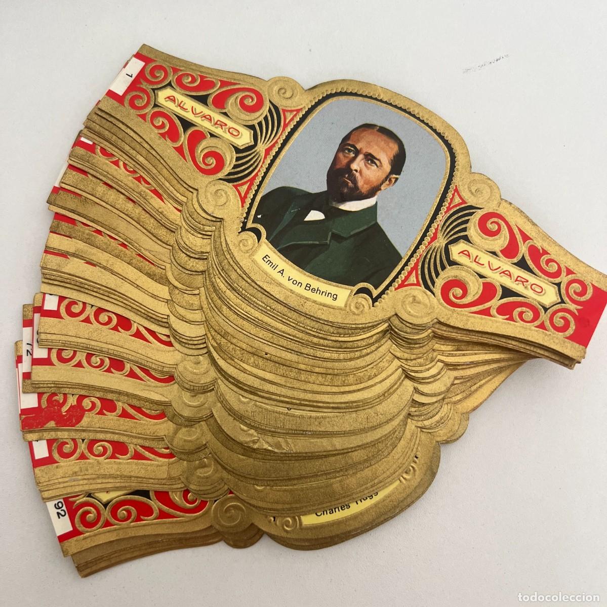 Vitolas de colecci&oacute;n: &Aacute;LVARO &ndash; PREMIO NOBEL DE MEDICINA Y FISIOLOG&Iacute;A &ndash; 102 DE 104 VITOLAS