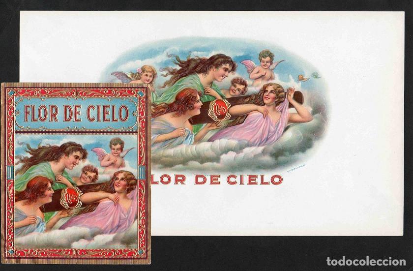 Vitolas de colecci&oacute;n: Vitolas, original litograf&iacute;as. Antiguas litograf&iacute;as de caja de tabacos. Flor de Cielo.