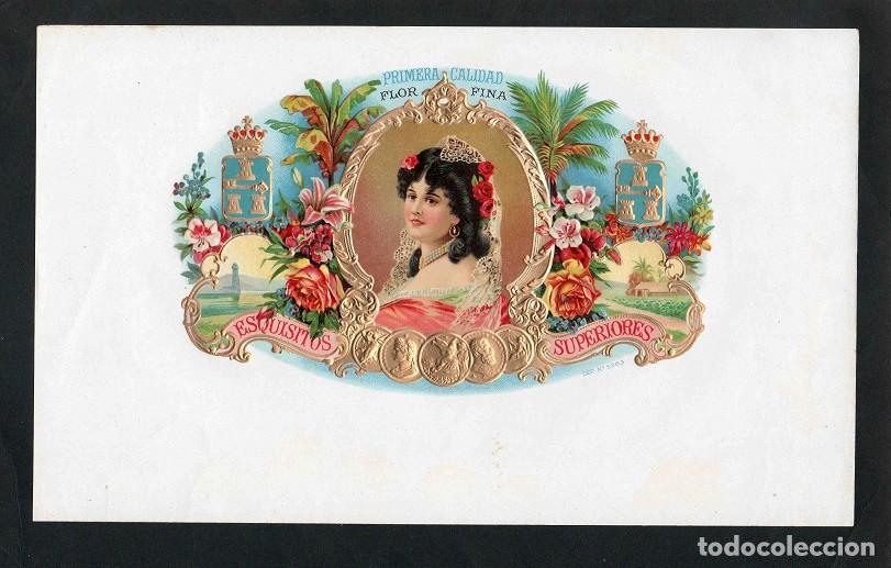 Vitolas de colecci&oacute;n: Vitola, original litograf&iacute;a. Antigua litograf&iacute;a de caja de tabacos. Verona (Untitled).