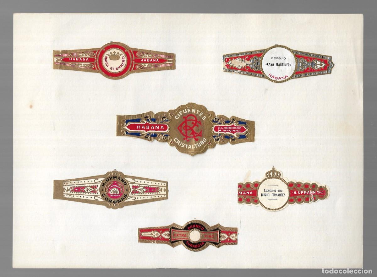 Collection cigar bands: COLECCI&Oacute;N 6 VITOLAS PUROS (Habana, Cuba) - 1&ordf; Mitad s. XX.