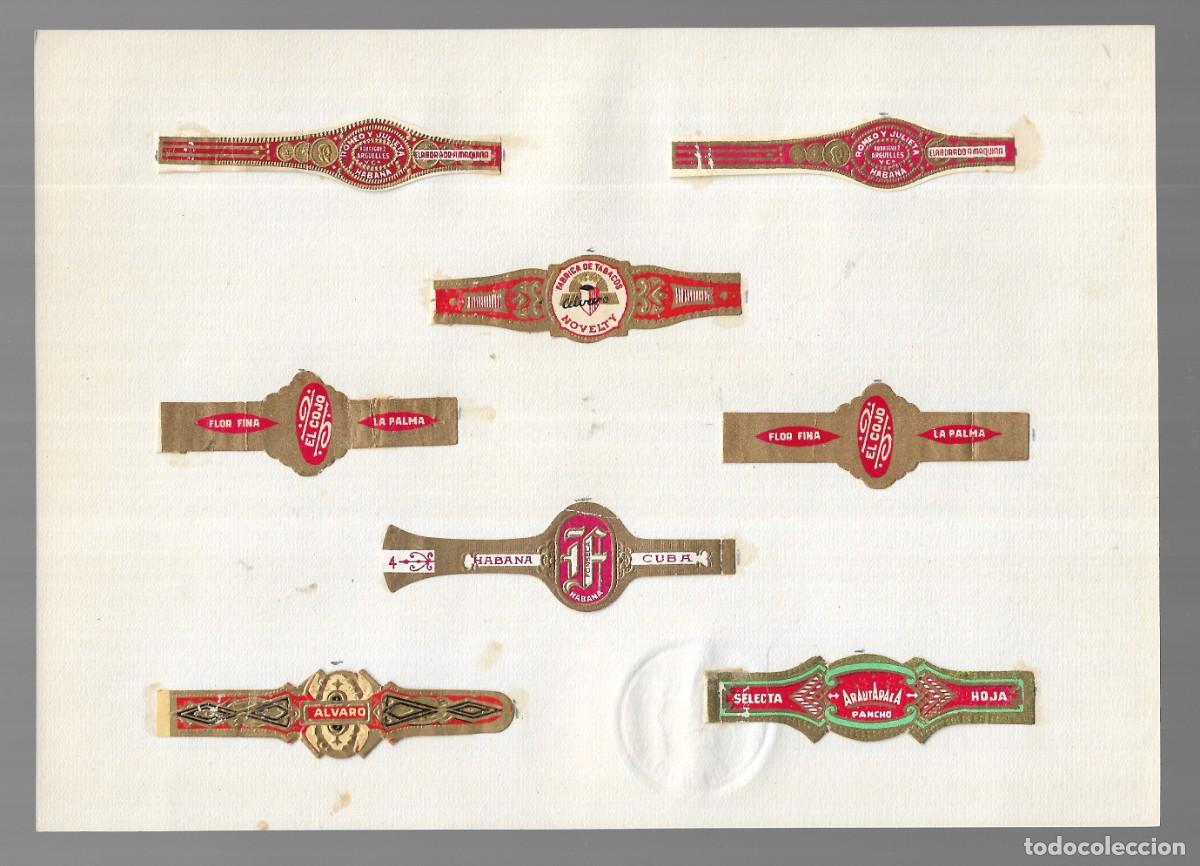 Collection cigar bands: COLECCI&Oacute;N 8 VITOLAS PUROS (Islas Canarias y Habana) - 1&ordf; Mitad s. XX.