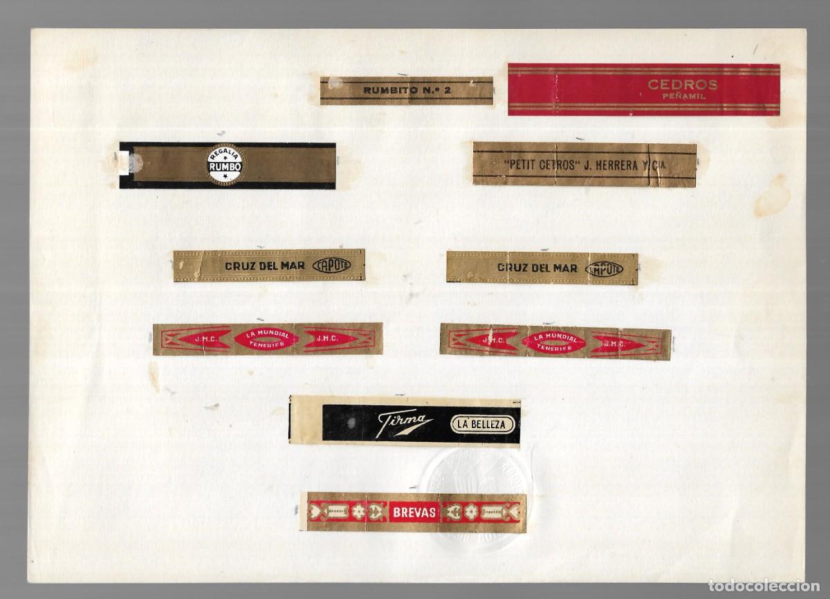 Sammlung von Banderolen: COLECCI&Oacute;N 10 VITOLAS PUROS (Islas Canarias) - 1&ordf; Mitad s. XX