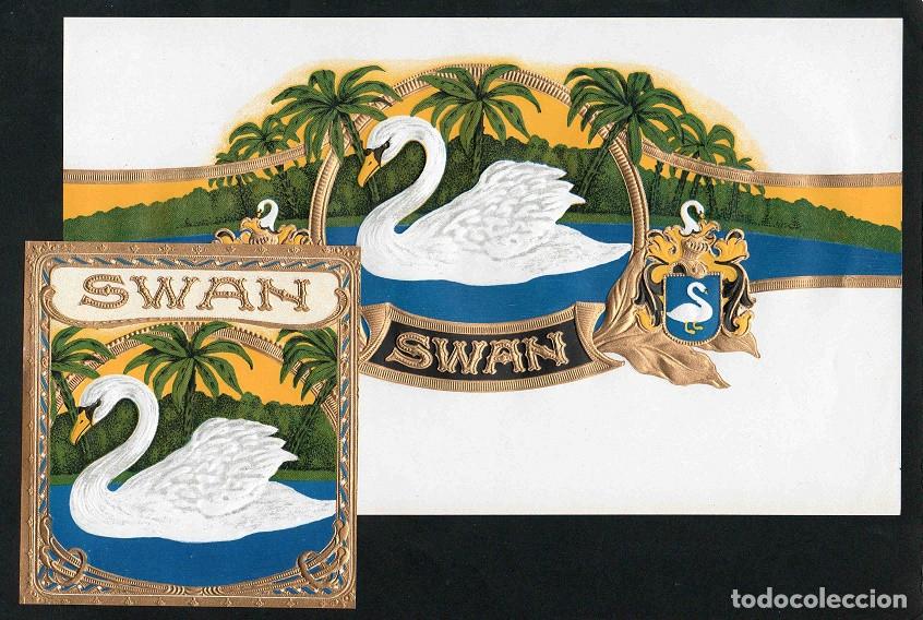 Vitolas de colecci&oacute;n: Vitolas, original litograf&iacute;as. Antiguas litograf&iacute;as de caja de tabacos. Swan.