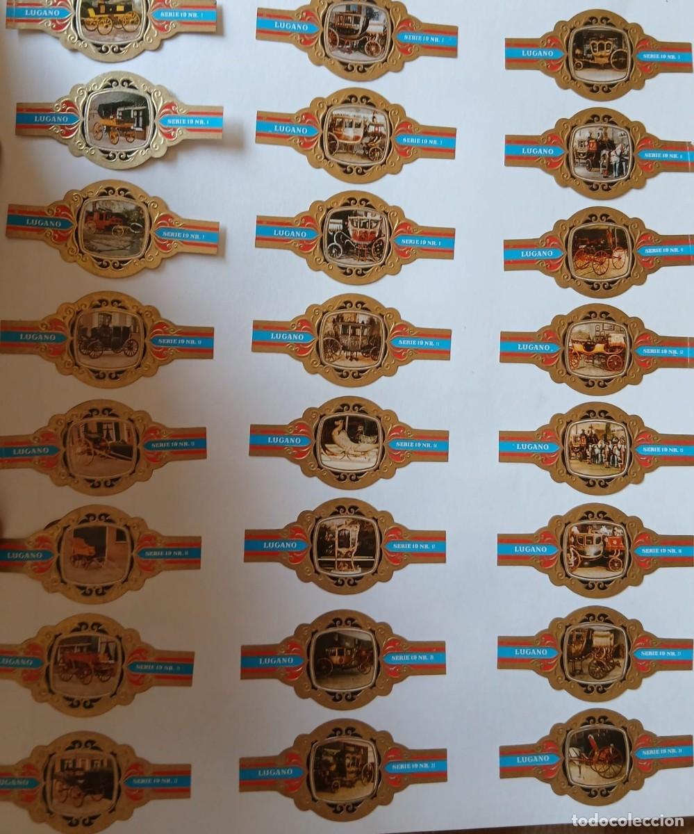 Vitolas de colecci&oacute;n: Vitolas lote completo de 24 puros lugano carrozas estado impecable