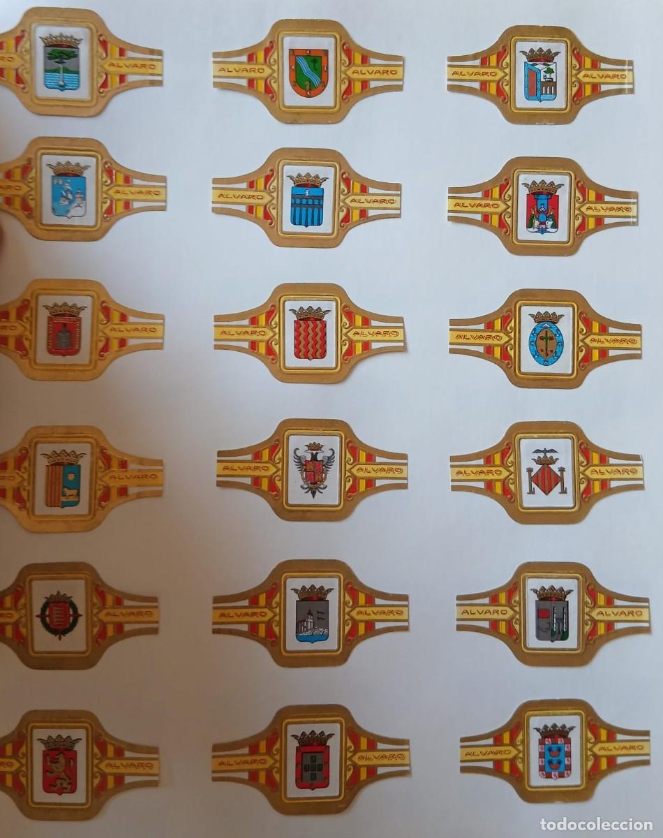An&eacute;is de charuto de cole&ccedil;&atilde;o: Vitolas lote completo de (puros Alvaro) escudos estado impecable