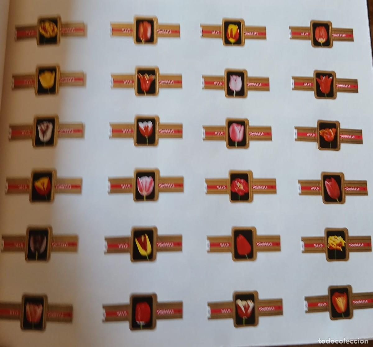 Vitole di collezione: Vitolas lote completo de (puros Yoursels) 24 vitolas tulipanes estado impecable