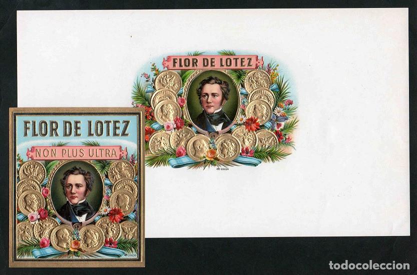 Vitole di collezione: Vitolas, original litograf&iacute;as. Antiguas litograf&iacute;as de caja de tabacos. Flor de Lotez.