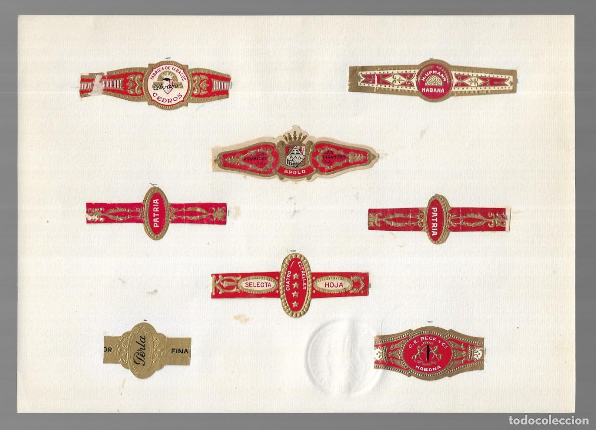 Collection cigar bands: COLECCI&Oacute;N 8 VITOLAS PUROS (Cuba e Islas Canarias) - 1&ordf; Mitad s. XX.