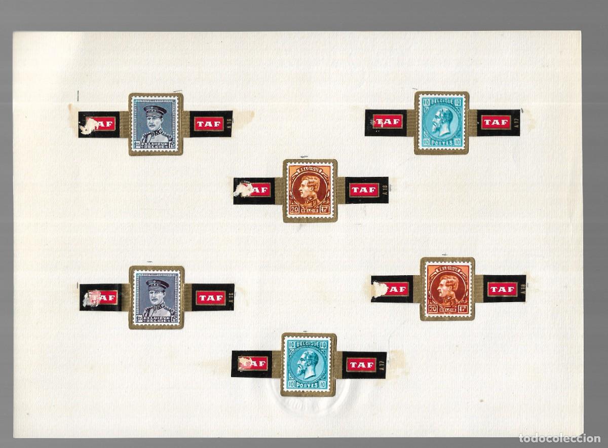 Collection cigar bands: COLECCI&Oacute;N 6 VITOLAS PUROS - TAF (B&eacute;lgica) - 1&ordf; Mitad s. XX.