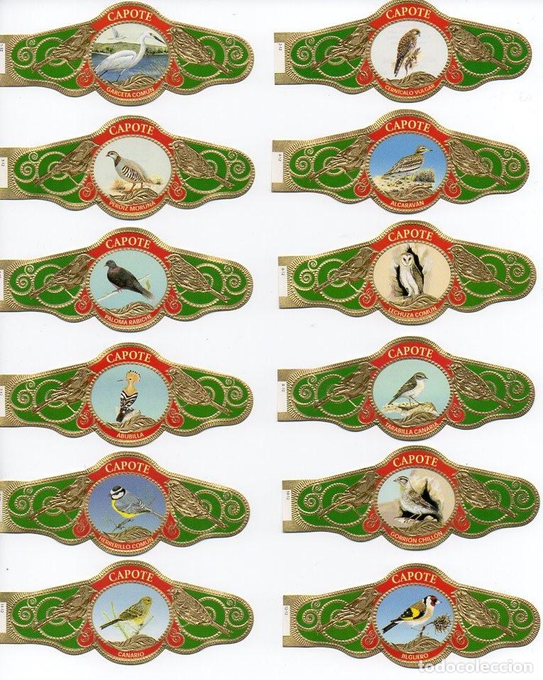 Vitolas de colecci&oacute;n: Vijosefa. Serie completa Capote - Aves Canarias, serie 1, 12 vitolas