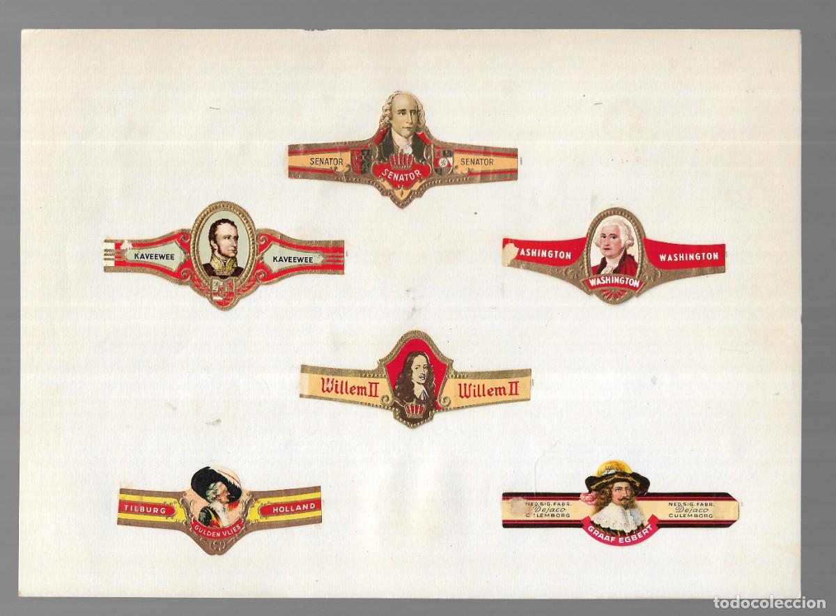 Sammlung von Banderolen: COLECCI&Oacute;N 6 VITOLAS PUROS - (Pa&iacute;ses Bajos) - 1&ordf; Mitad y 2&ordf; Mitad s. XX.