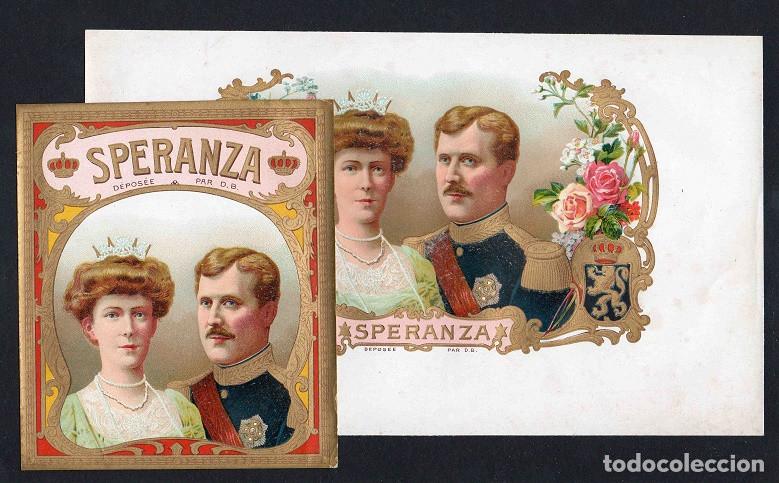 Vitolas de colecci&oacute;n: Vitolas, original litograf&iacute;as. Antiguas litograf&iacute;as de caja de tabacos. Speranza. Reyes de B&eacute;lgica.