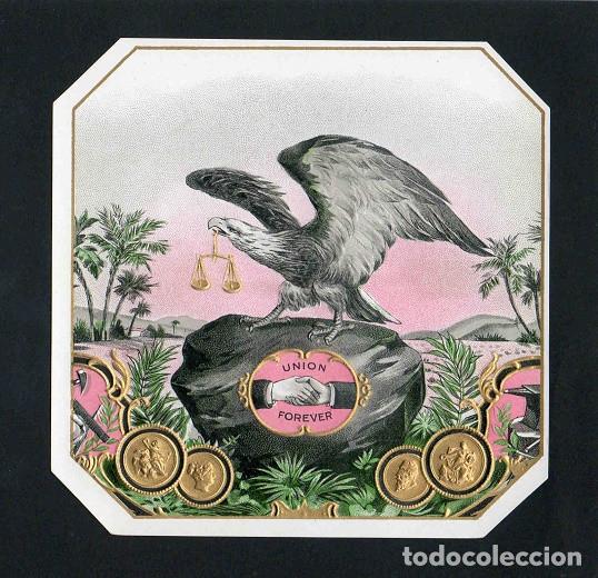 Vitolas de colecci&oacute;n: Vitola, original litograf&iacute;a. Antigua litograf&iacute;a de caja de tabacos. Union Forever.