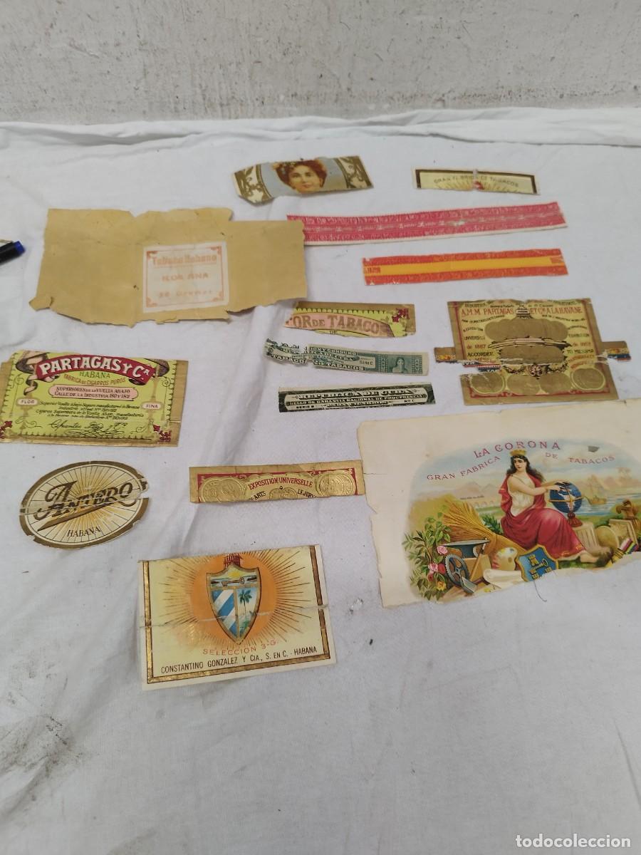 An&eacute;is de charuto de cole&ccedil;&atilde;o: Lote Litograf&iacute;as y Etiquetas Antiguas de Tabaco Cubano - Partag&aacute;s, La Corona y Otras. A restaurar.