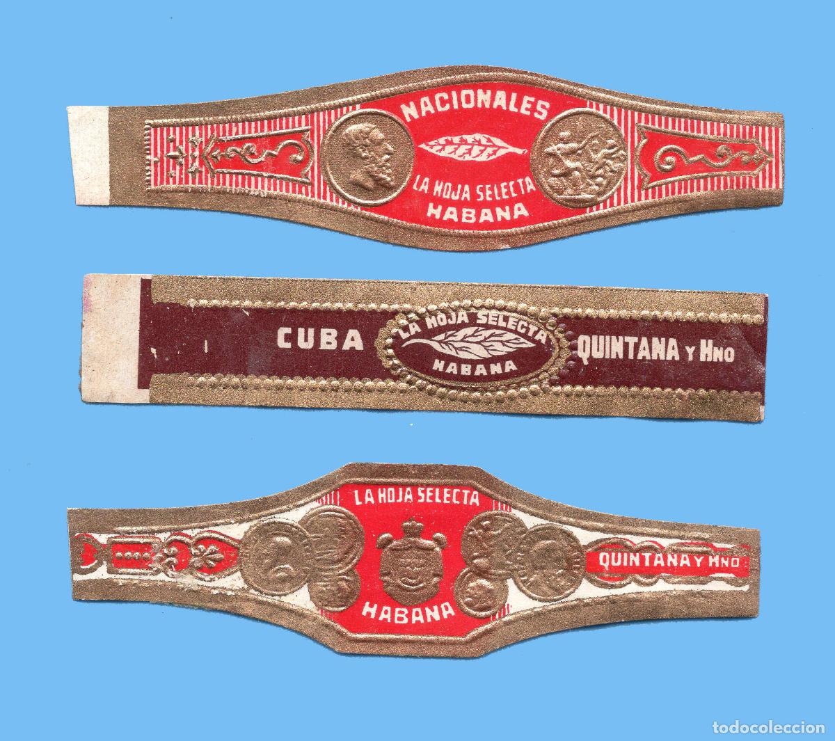 Vitolas de colecci&oacute;n: 3 VITOLAS CUBANAS ANTIGUAS - MARCA LA HOJA SELECTA - QUINTANA Y Hno.