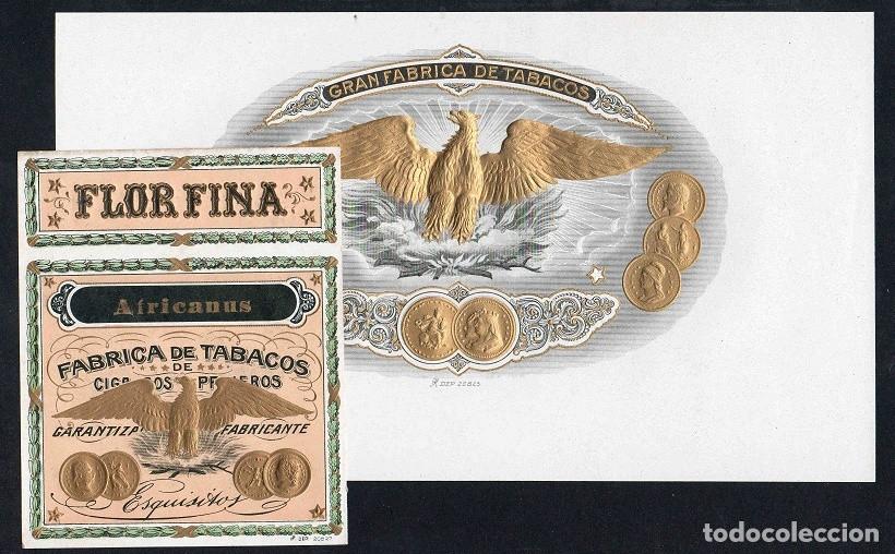 Vitolas de colecci&oacute;n: Vitolas, original litograf&iacute;as. Antiguas litograf&iacute;as de caja de tabacos. Africanus.