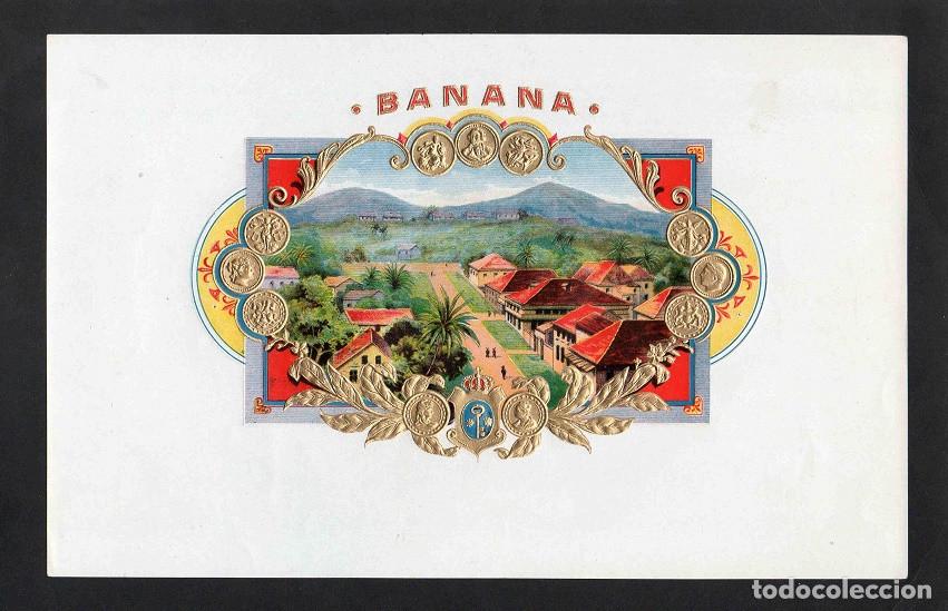Vitolas de colecci&oacute;n: Vitola, original litograf&iacute;a. Antigua litograf&iacute;a de caja de tabacos. Banana.