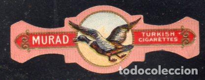 Vitolas de colecci&oacute;n: VITOLA CLASICA: 196012, TEMA FAUNA, MURAD.