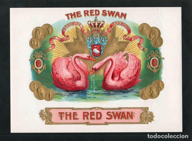 Vitolas de colecci&oacute;n: Vitola, original litograf&iacute;a. Antigua litograf&iacute;a de caja de tabacos. The Red Swan.