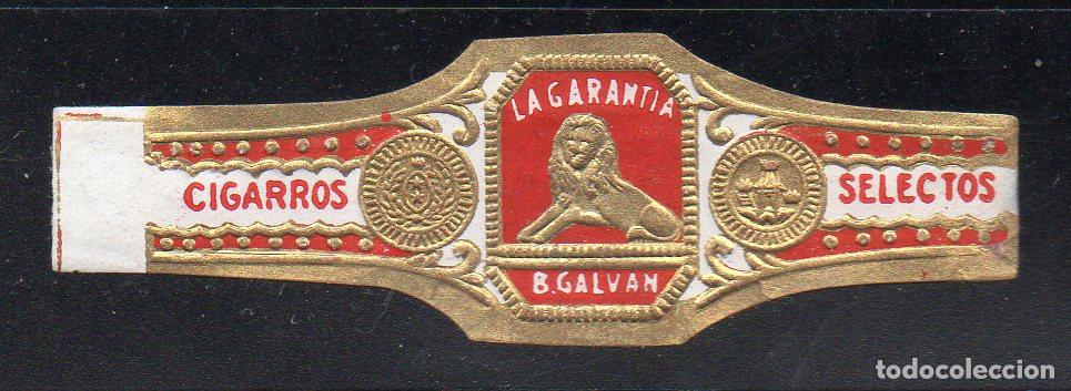 Vitolas de colecci&oacute;n: VITOLA CLASICA: 073022, TEMA FAUNA, FELIDOS, LA GARANTIA, B. GALVAN, ISLAS CANARIAS.