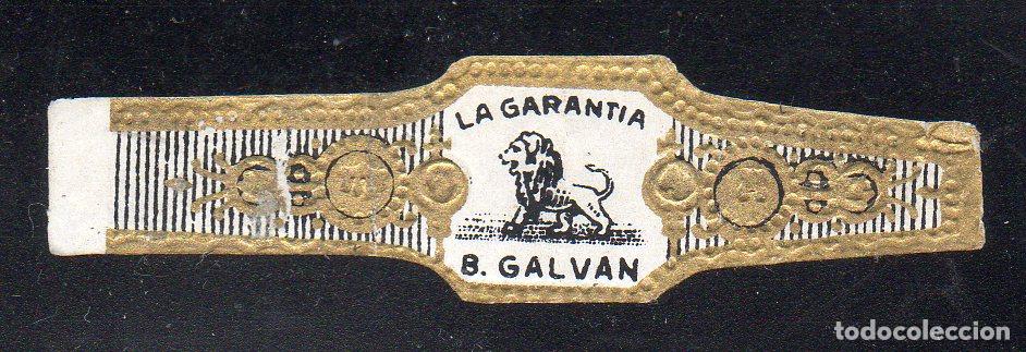 Vitolas de colecci&oacute;n: VITOLA CLASICA: 073023, TEMA FAUNA, FELIDOS, LA GARANTIA, B. GALVAN, ISLAS CANARIAS.