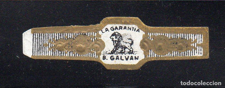 Vitolas de colecci&oacute;n: VITOLA CLASICA: 073024, TEMA FAUNA, FELIDOS, LA GARANTIA, B. GALVAN, ISLAS CANARIAS.