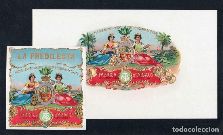Vitolas de colecci&oacute;n: Vitolas, original litograf&iacute;as. Antiguas litograf&iacute;as de caja de tabacos. La Predilecta.