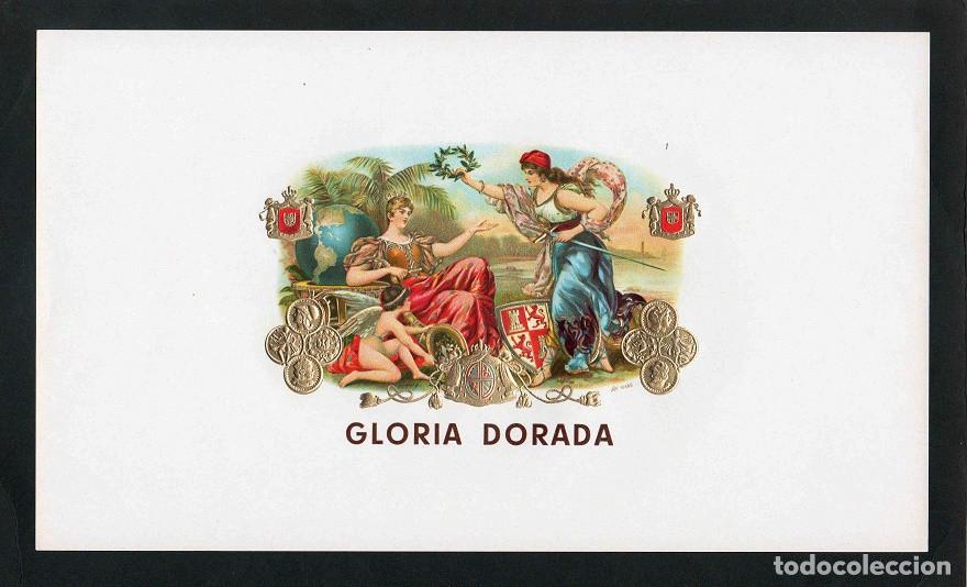 Vitolas de colecci&oacute;n: Vitola, original litograf&iacute;a. Antigua litograf&iacute;a de caja de tabacos. Gloria Dorada.
