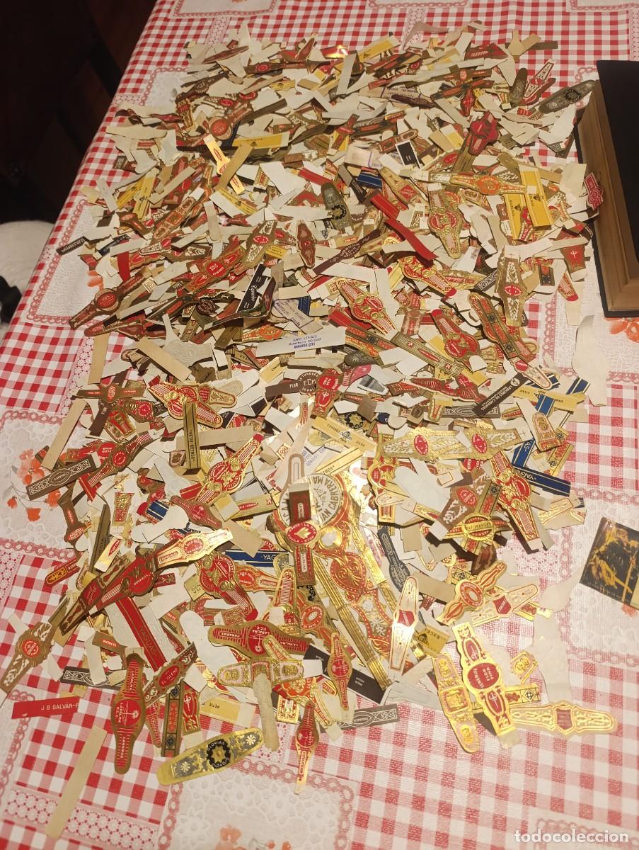 Vitolas de colecci&oacute;n: Gran Lote Caja con Cientos de Vitolas Antiguas / Anillas de Puros Variadas - Canarias y Espa&ntilde;olas -