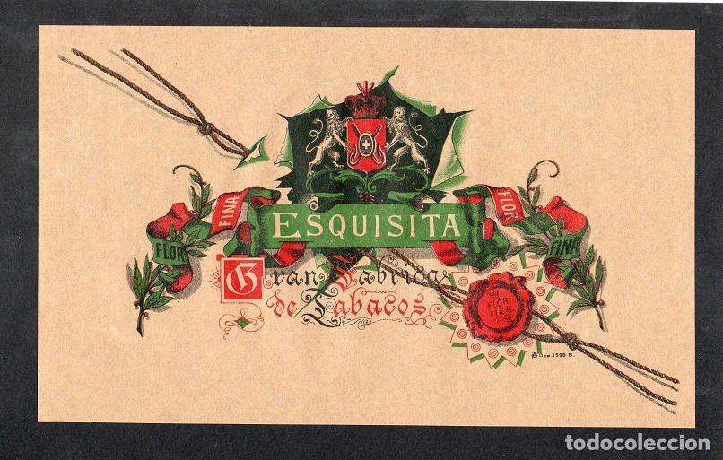 An&eacute;is de charuto de cole&ccedil;&atilde;o: Vitola, original litograf&iacute;a. Antigua litograf&iacute;a de caja de tabacos. Esquisita (J. Frossard).