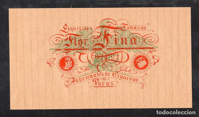 An&eacute;is de charuto de cole&ccedil;&atilde;o: Vitola, original litograf&iacute;a. Antigua litograf&iacute;a de caja de tabacos. Flor Fina.
