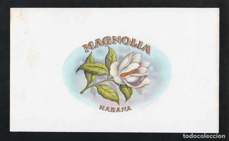 Vitolas de colecci&oacute;n: Vitola, original litograf&iacute;a. Antigua litograf&iacute;a de caja de tabacos. Magnolia (Habana).