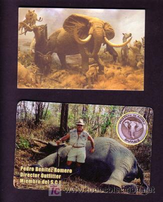 Coleccionismo: 2 TARJETAS DE VISITA COMERCIALES ** SAFARI Y MUSEO ANIMALES **