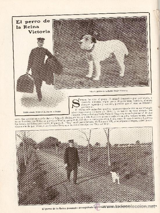 Coleccionismo: HOJA REPORTAJE A&Ntilde;O 1908 PERROS EL PERRO DE LA REINA VICTORIA EUGENIA REX EDUARDO DE INGLATERRA