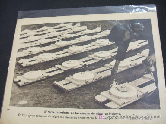 Collecting paper: EL ENMASCARAMIENTO DE LOS CAMPOS DE MINAS EN INVIERNO -
