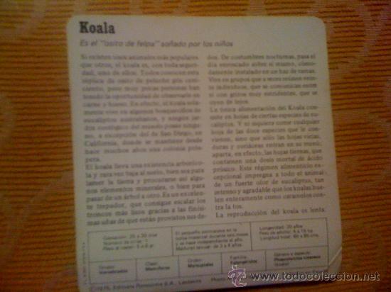 Coleccionismo: Fichas de animales: Koala. - Foto 4