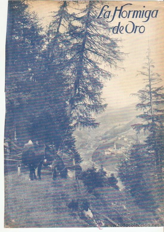 Collectionnisme: RECORTE PRENSA.A&Ntilde;O 1931.ITALIA.VALLE DEL GARDENA.CAMINO DE PLAN.FOTOGRAFIA.