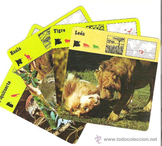 Coleccionismo: LOTE DE VARIAS FICHAS DE ANIMALES - A&Ntilde;O 1975 - TODAS DIFERENTES - EDITIONS RECONTRE S.A , LAUSANNE