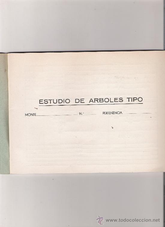Sammelleidenschaft Papier: ESTUDIO DE ARBOLES TIPO - CUADERNO VACIO PARA INSERTAR DATOS - VER FOTOS