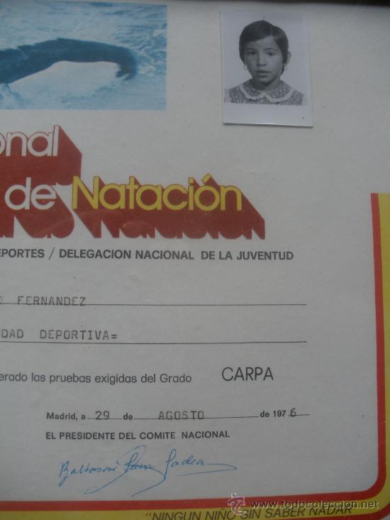 Certificado de natacion de la delegacion nacion - Comprar 