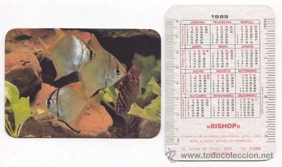 Coleccionismo: lote Calendario - coleccion de 12 calendarios Portugal de bolsillo de peces de acuarios, a&ntilde;o 1989