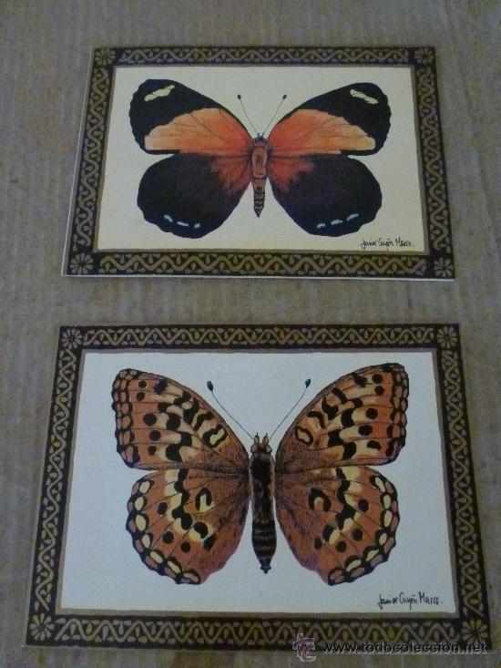Coleccionismo: 2 tarjetas de mariposas - Foto 1