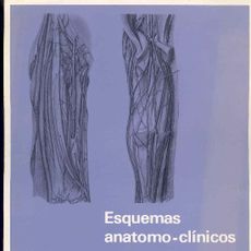 esquemas anatomo-clinicos - insuficiencia venos - Compra venta en ...