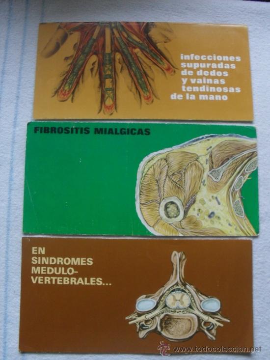 Sammelleidenschaft Papier: LOTE 3 CATALOGOS PUBLICITARIOS CON LAMINAS DE ANATOMIA - VER FOTOS