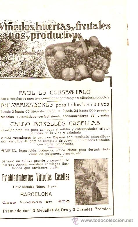 Collezionismo: RECORTE PUBLICIDAD.A&Ntilde;O 1919.ESTABLECIMIENTOS VITICOLAS CASELLAS.VI&Ntilde;EDOS.HUERTAS.BARCELONA.