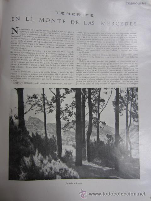 Coleccionismo: Tenerife: En el monte de las Mercedes / Roberto de Gand&iacute;a  - 1931 * COSM&Oacute;POLIS *