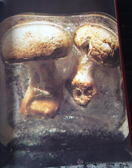 Coleccionismo: Fotograf&iacute;a art&iacute;stica. Champi&ntilde;ones congelados. L&aacute;mina papel grueso, enmarcable.
