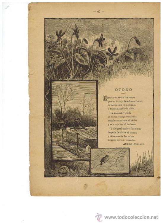 Collecting paper: RECORTE PRENSA POESIA FINALES 1800.MODERNISMO.AURORA ALVAREZ.ALCALDE Y VALLADARES.LITERATURA MODERNI